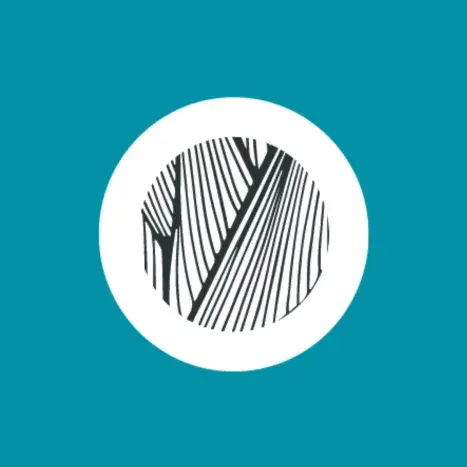 Motif linéa