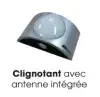 clignotant